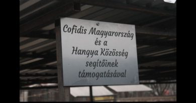 Kutyaszemmel – képekben Kutyaszemmel – képekben