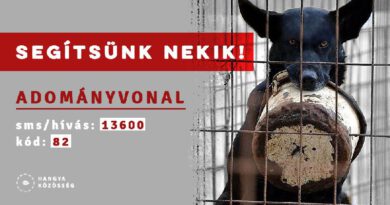 Adhat vonal – 13600/ 82 Adhat vonal – 13600/ 82