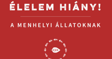 Élelemhiány – mi lesz most? Élelemhiány – mi lesz most?