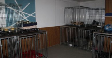 Melegedő kuckó – beszámloló Melegedő kuckó – beszámloló