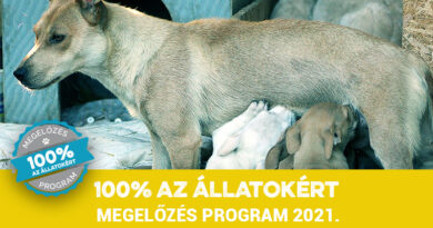 Megelőző program 2021 – Pályázati felhívás Megelőző program 2021 – Pályázati felhívás