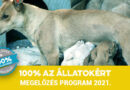 Megelőzés program  2021 – Pályázati felhívás