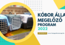 Eredmények – Megelőzés pályázat 2022