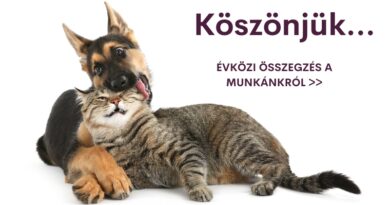 Évközi visszatekintés és hála Évközi visszatekintés és hála