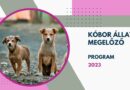 Kóbor állat megelőző pályázat 2023