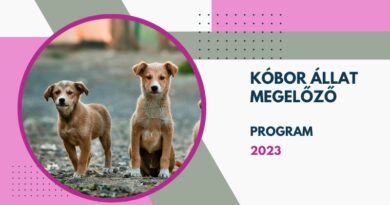 Kóbor állat megelőző pályázat 2023 Kóbor állat megelőző pályázat 2023