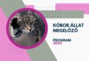 Nyertesek – Kóbor Állat Megelőző Program 2023