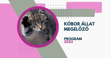 Nyertesek – Kóbor Állat Megelőző Program 2023