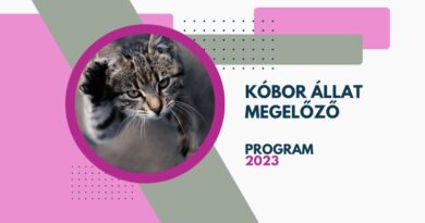 Nyertesek – Kóbor Állat Megelőző Program 2023 Nyertesek – Kóbor Állat Megelőző Program 2023