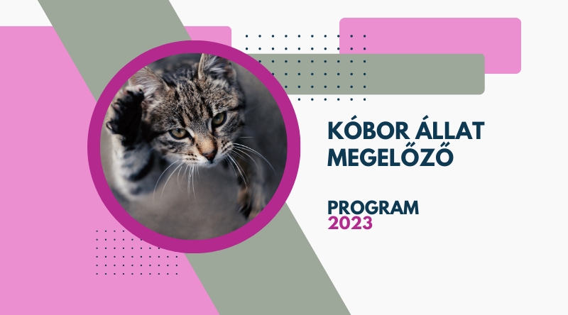 Nyertesek – Kóbor Állat Megelőző Program 2023