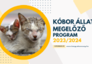 Pályázat – Kóbor Állat Megelőzés 2023/2024