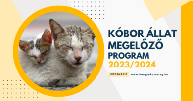 Pályázat – Kóbor Állat Megelőzés 2023/2024