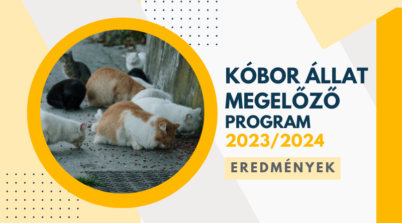 Eredmények – Megelőzés program 2023/2024