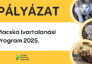 Macska Ivartalanítási Program 2025.