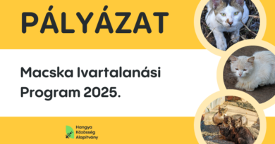 Macska Ivartalanítási Program 2025.