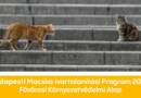 Budapesti Macska Ivartalanítási Program 2025.