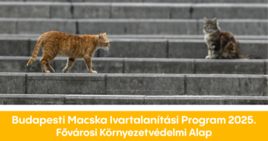Budapesti Macska Ivartalanítási Program 2025.
