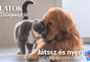 Állatok Világnapja 2025. – Nyereményjáték