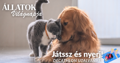 Állatok Világnapja 2025. – Nyereményjáték