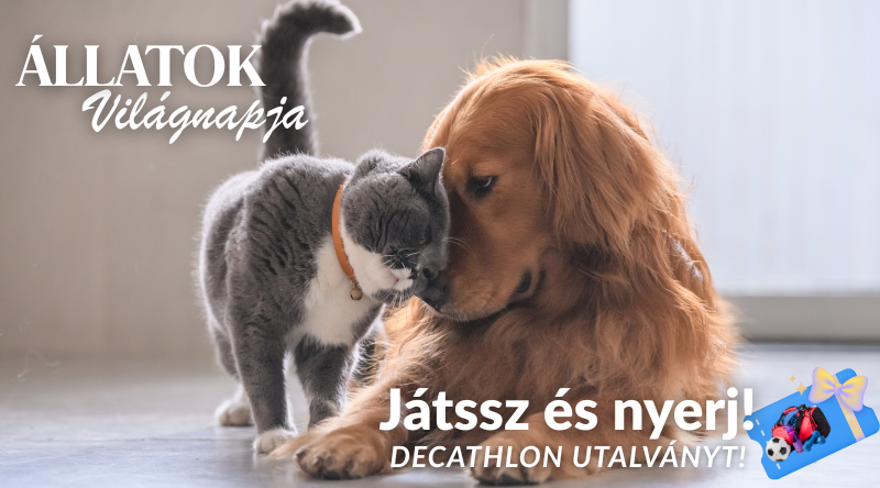 Állatok Világnapja 2025. – Nyereményjáték