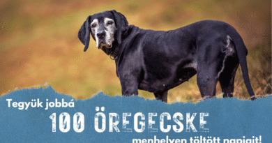 100 Öregecske program – 2025