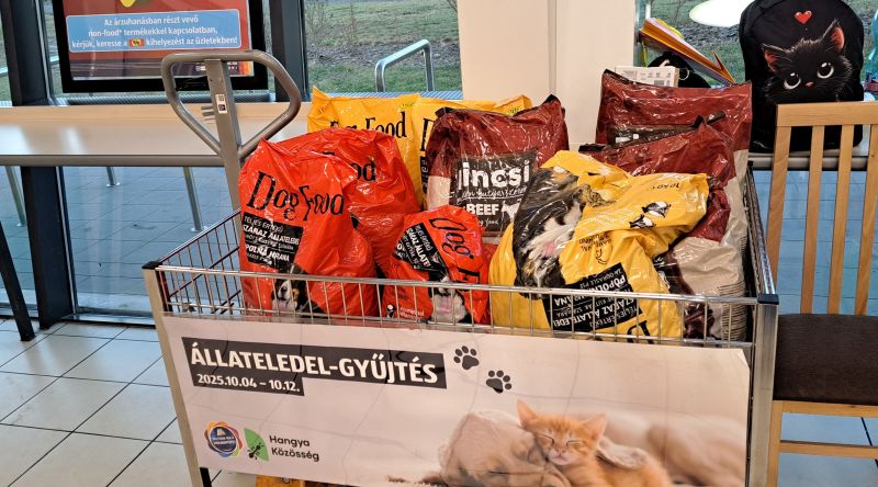 Aldi országos gyűjtés ősz – Eredmények