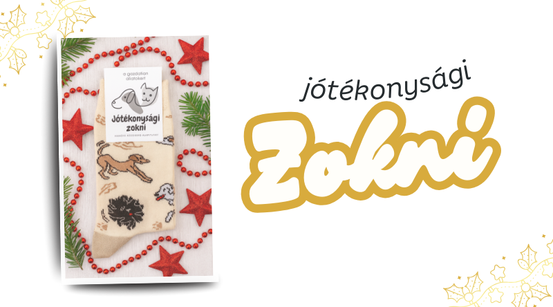 Jótékonysági zokni 2025
