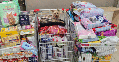 Auchan országos eledelgyűjtés 2026.