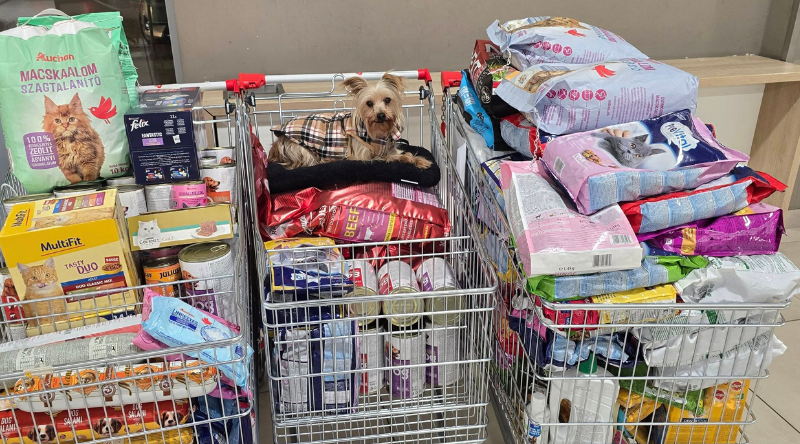 Auchan országos eledelgyűjtés 2026.