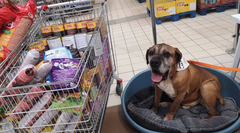 Auchan eledelgyűjtés eredmények