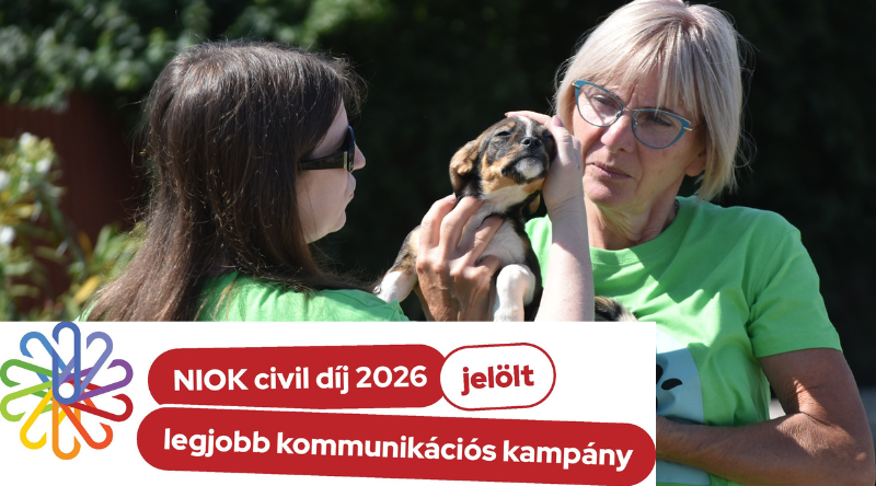 Civil díj döntései között – 2026