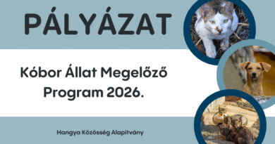 Kóbor Állat Megelőző Program 2026. pályázat
