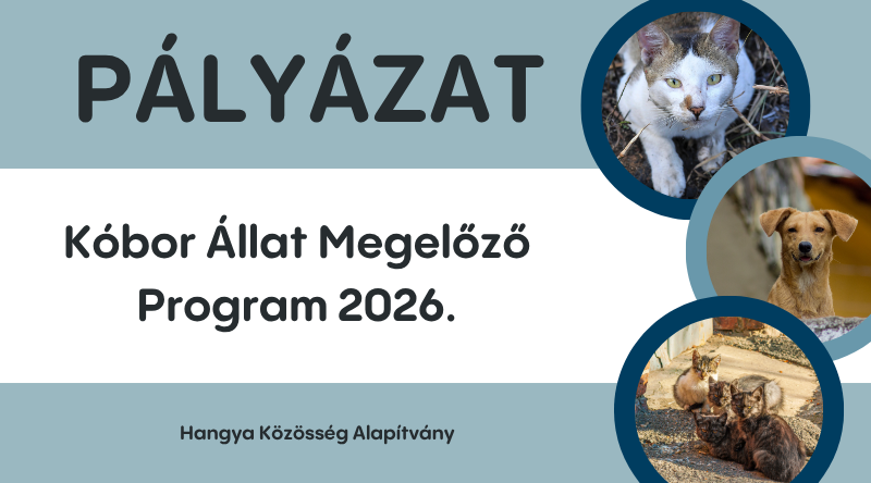 Kóbor Állat Megelőző Program 2026. pályázat